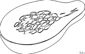 papaya Coloring Pages To Print